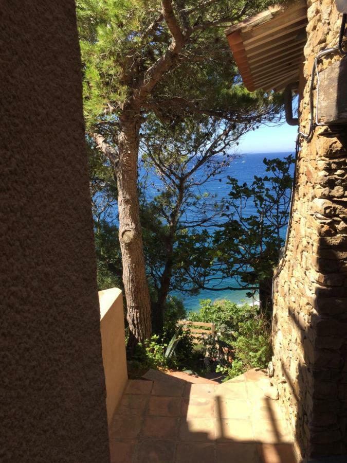 Le Baou " Les Pieds Dans L'Eau " Apartment Carqueiranne Exterior photo